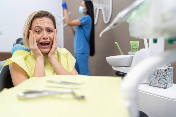 Best Emergency Cosmetic Dentistry in Llington, MI