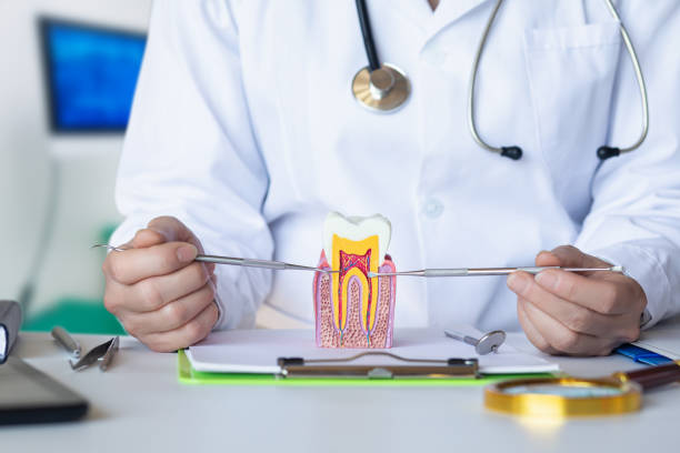 Best Emergency Dentist for Knocked-Out Tooth in Llington, MI